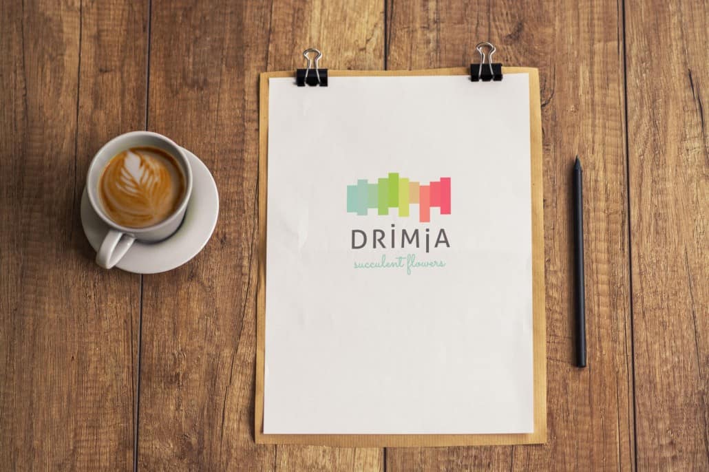 Drimia, brand identity process, suculent flowers, branding