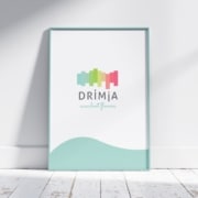 Drimia brand identity process suculent flowers logo logo design