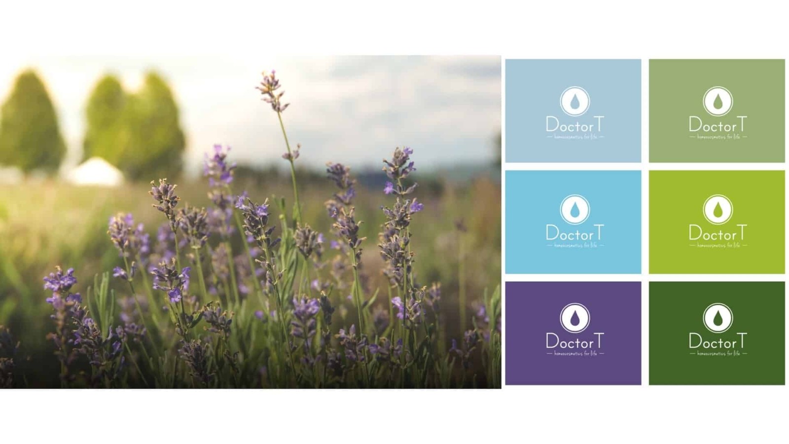 Doctor T visual identity logo colors fonts homeocosmetics 10