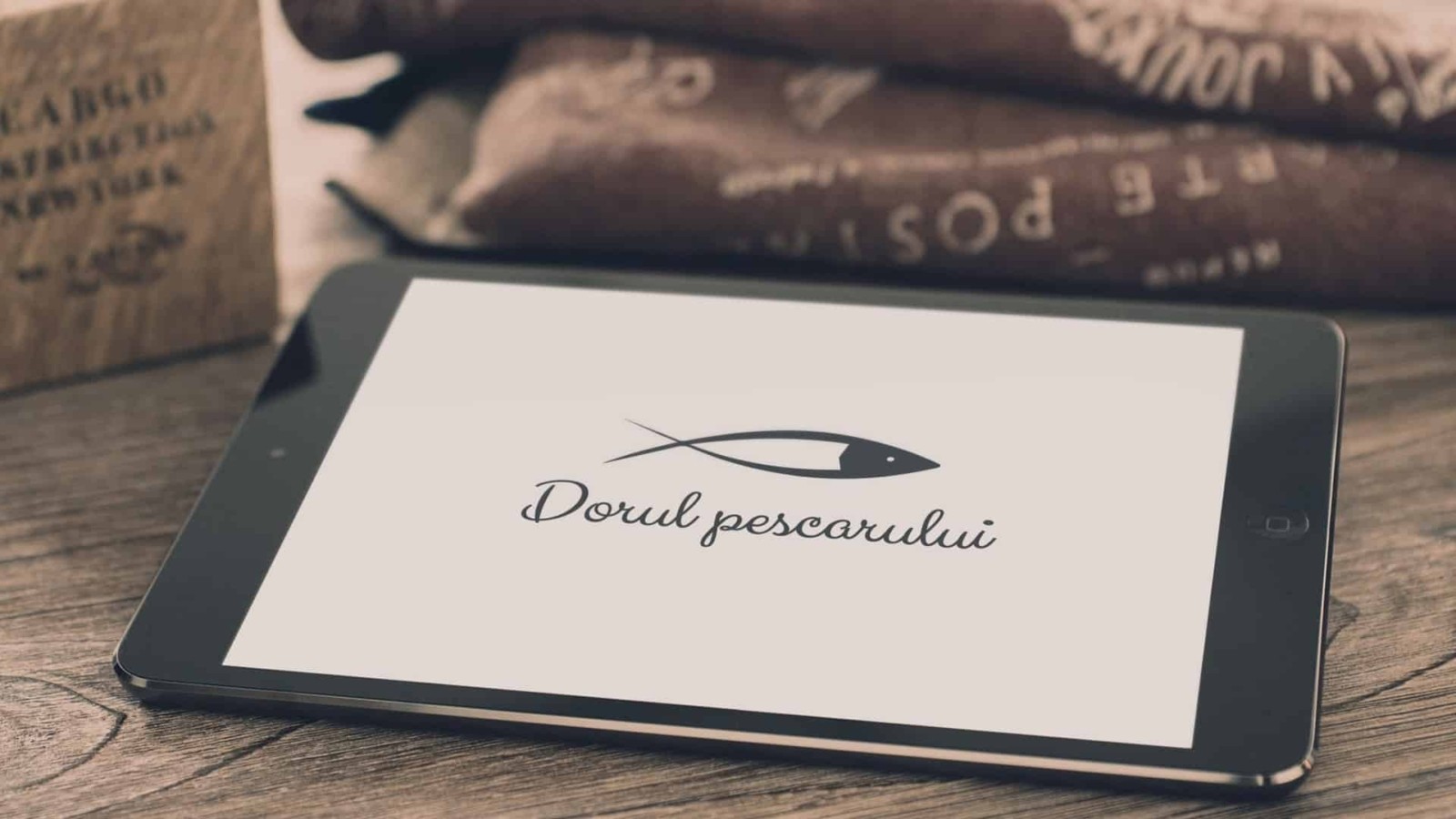 Dorul Pescarului turism Valsan accomodation branding logo design identity toud 17