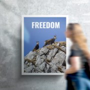 Opreste-te din cand in cand si primeste darul - Piatra Craiului