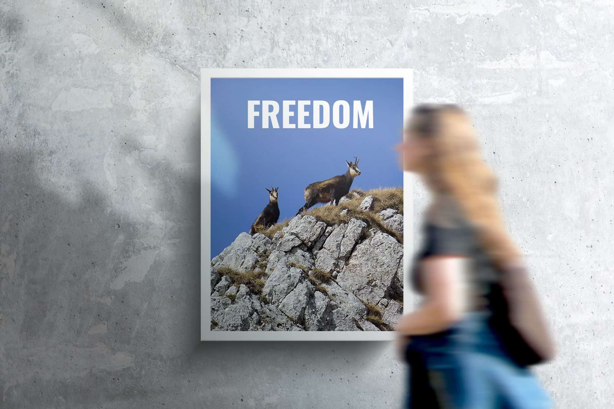 Opreste-te din cand in cand si primeste darul - Piatra Craiului