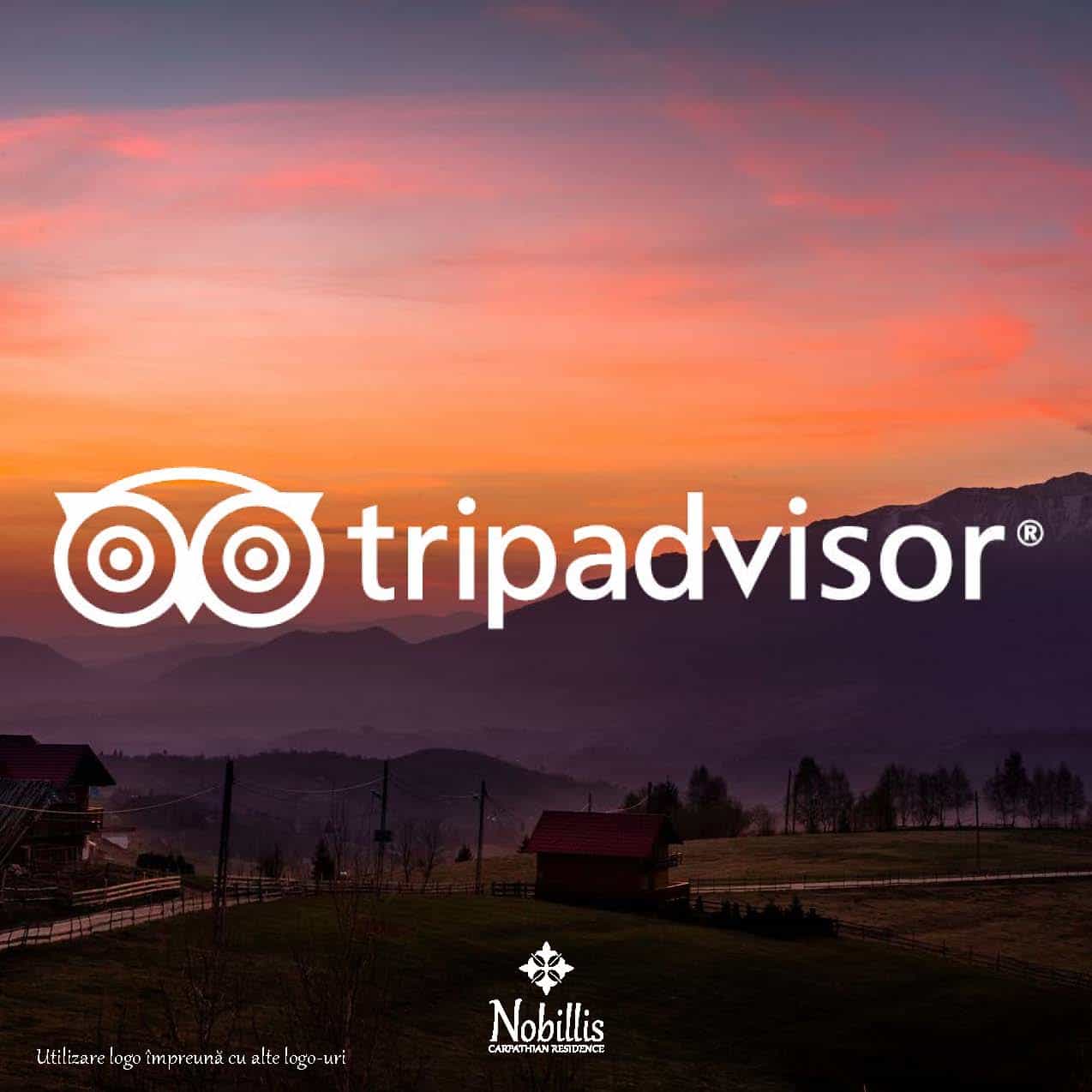 Guide de style Nobillis, Agence de design Toud, Design d'identité visuelle