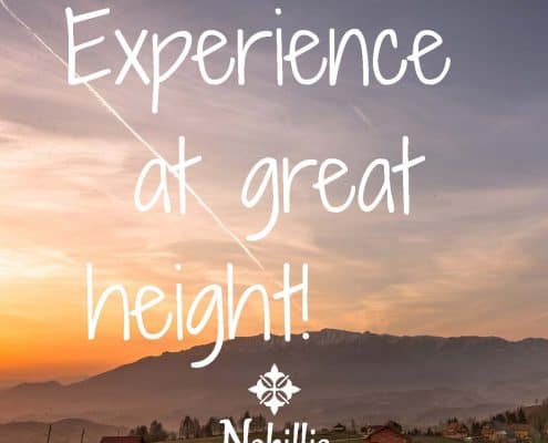 Guide de style Nobillis, Agence de design Toud, Design d'identité visuelle