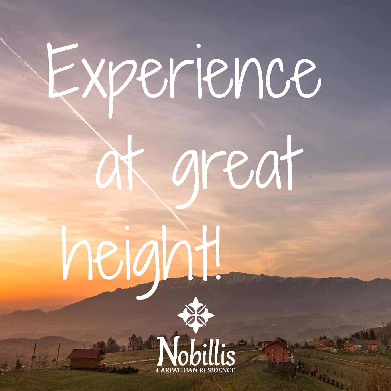 Guide de style Nobillis, Agence de design Toud, Design d'identité visuelle