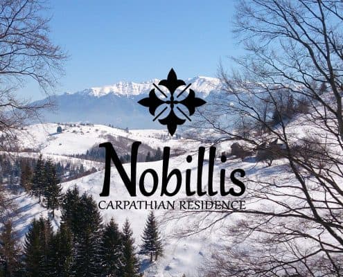 Guide de style Nobillis, Agence de design Toud, Design d'identité visuelle