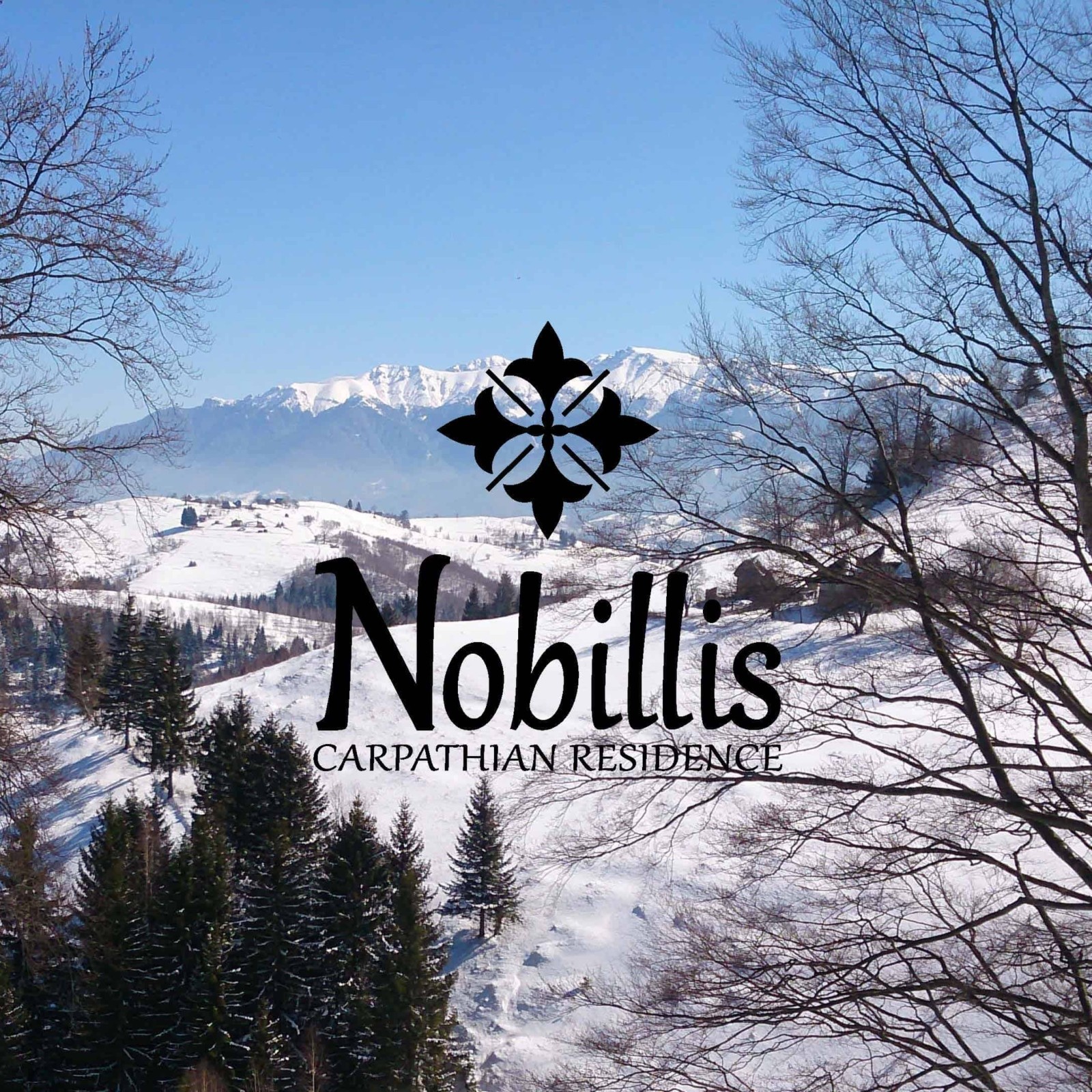 Guide de style Nobillis, Agence de design Toud, Design d'identité visuelle