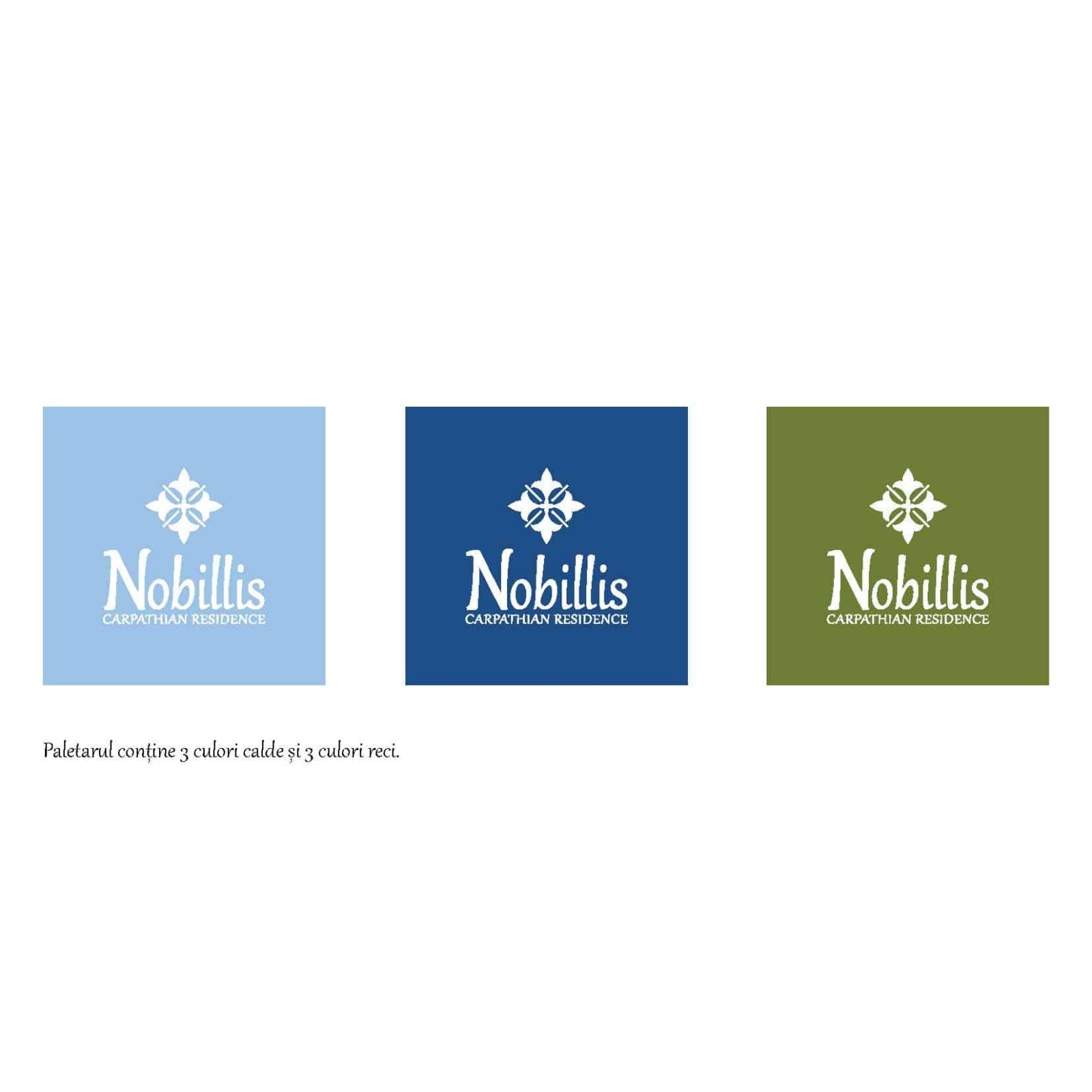 Guide de style Nobillis, Agence de design Toud, Design d'identité visuelle