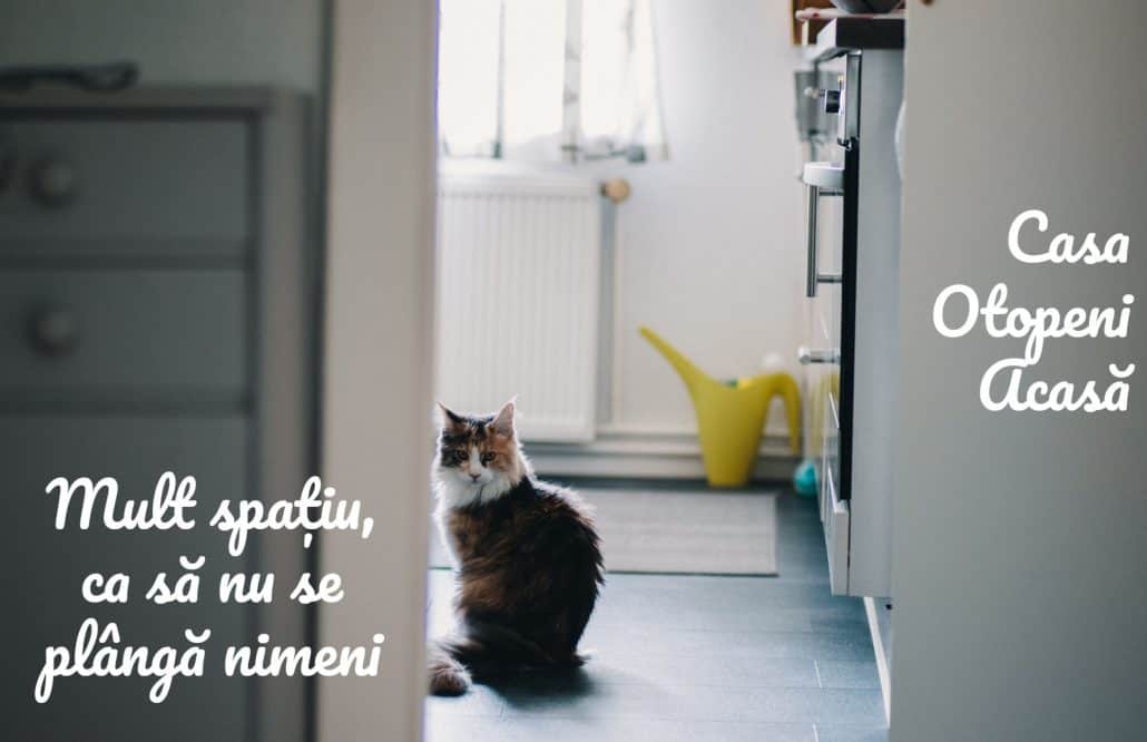 Casa Otopeni duplex branding design story brand Toud 21