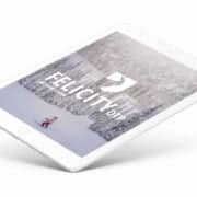 ski, web design, branding, logo