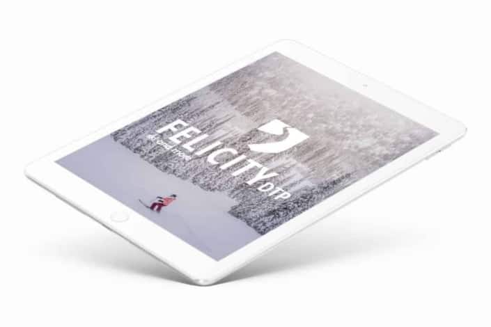 ski, web design, branding, logo