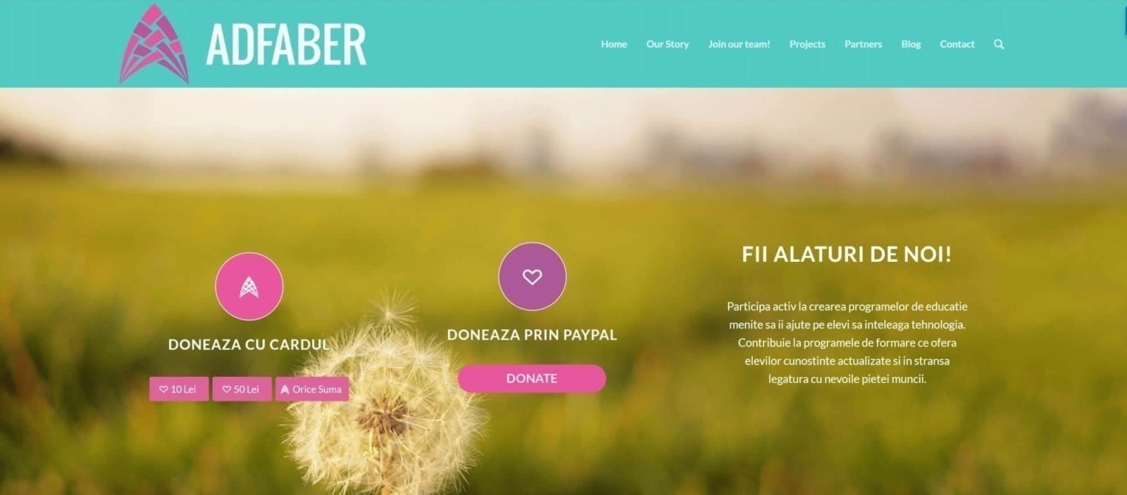 Adfaber, web design, website, design, Toud