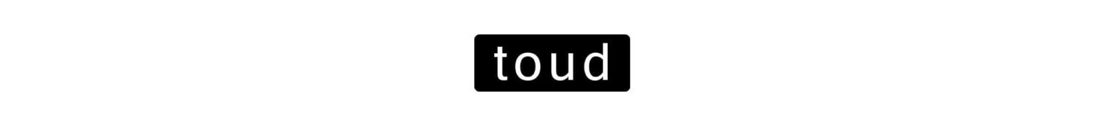 Logo Toud, Toud, guide de marque