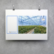 policarbonat.ro - identité visuelle