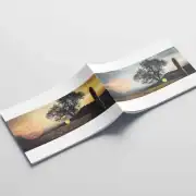 Pure Romania-Conception graphique, Toud