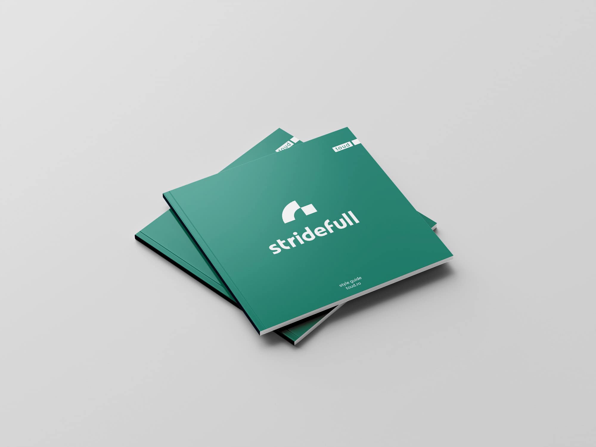 Stryle guide Stridefull, identité visuelle, logo design, Toud
