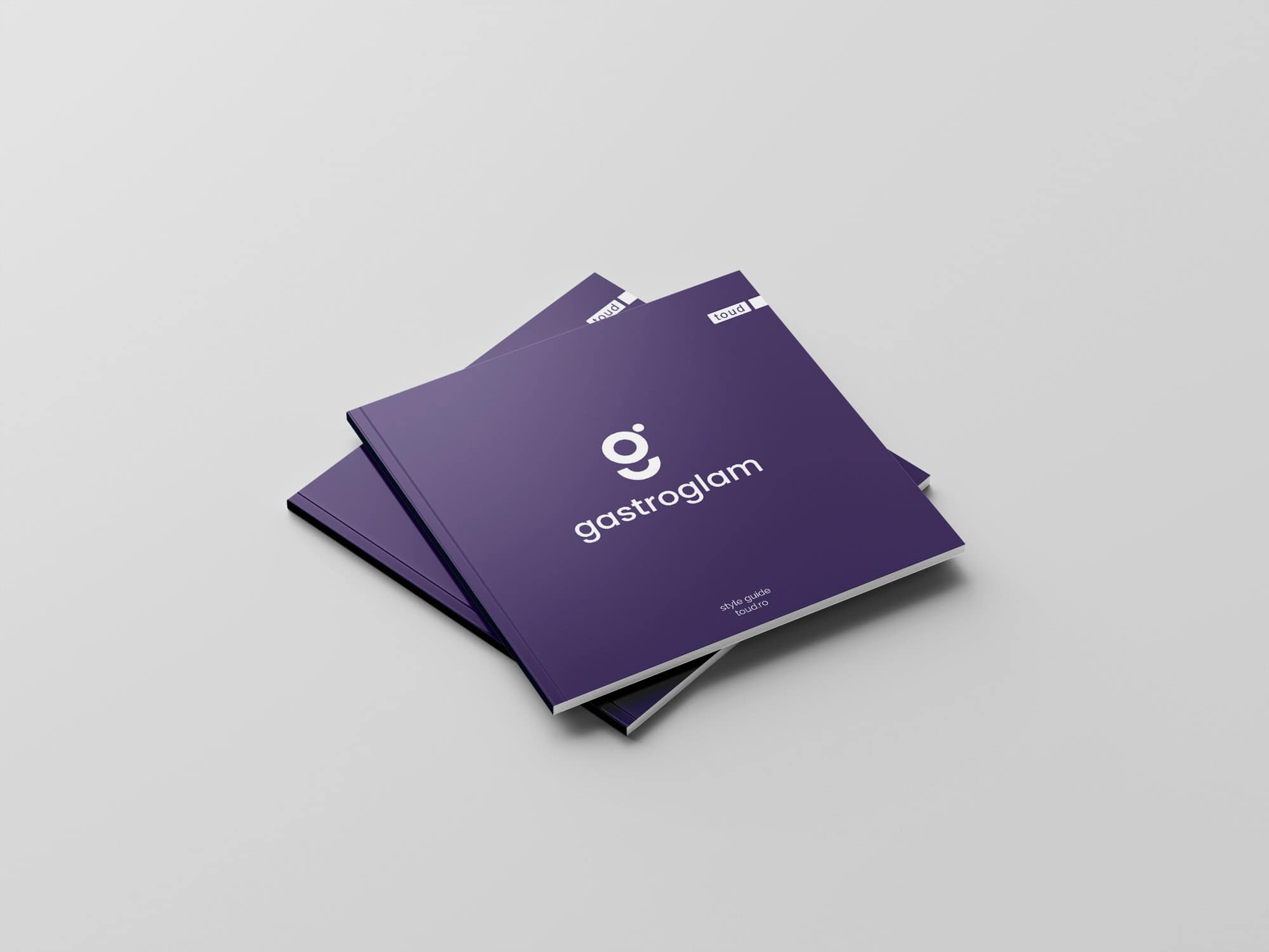 Style guide Gastroglam, identité visuelle, Toud