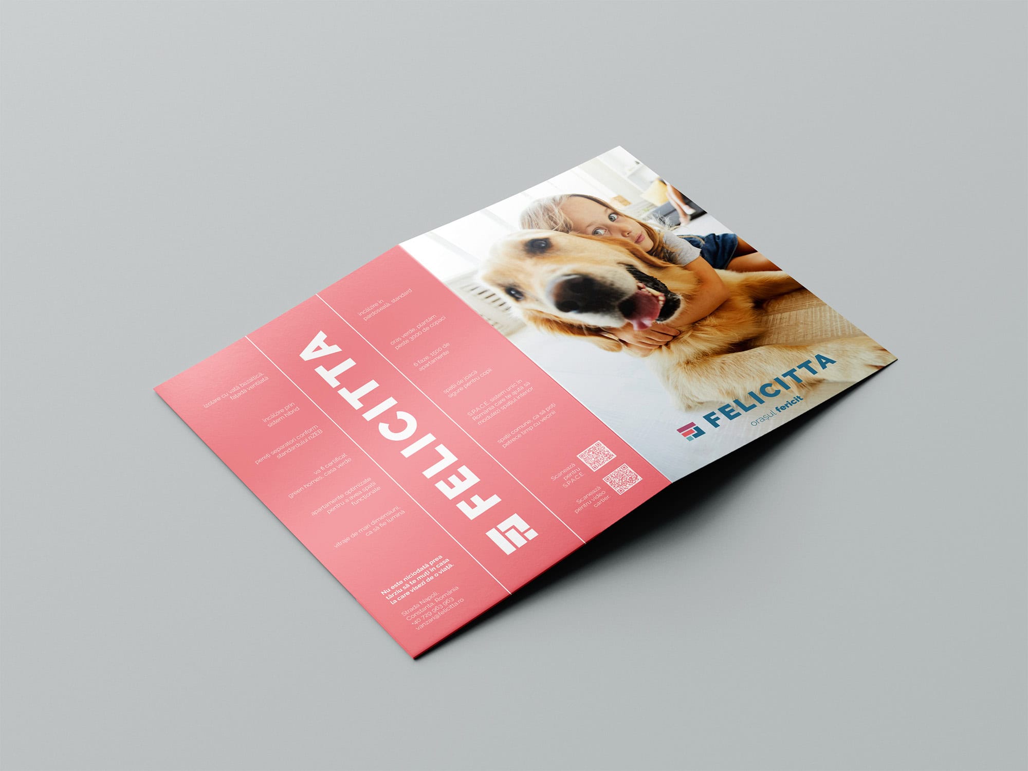 Felicitta — identité visuelle, stratégie et site web pour un lieu conçu pour les personnes, Toud, création de logo, identité visuelle, conception web